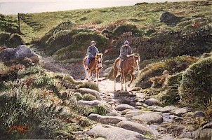 Riding the High Moor